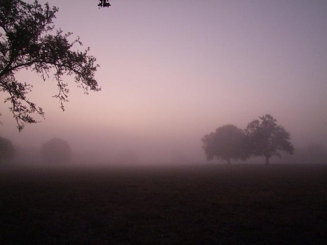 057-Foggy Morning.jpg
